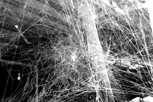 a-mass-of-webs