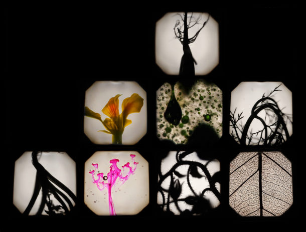 Besllum _ Festival IF